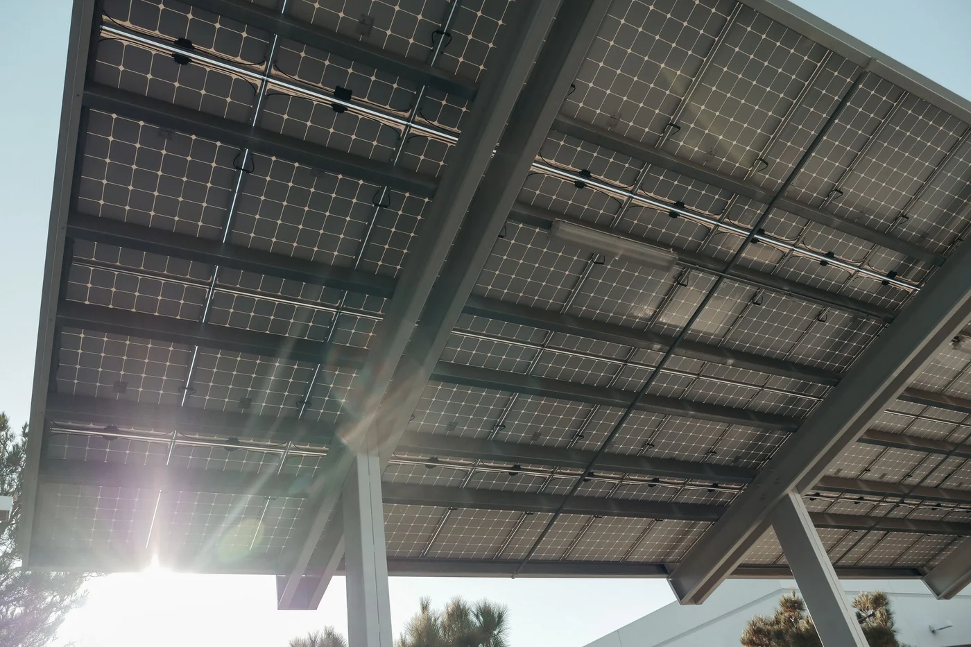 Sunlight through the underside of a solar panel array
